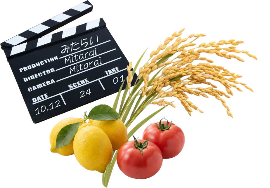 稲穂、レモン、トマト、カッチンのイメージ