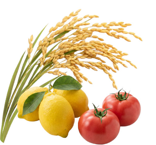 稲穂、レモン、トマトのイメージ